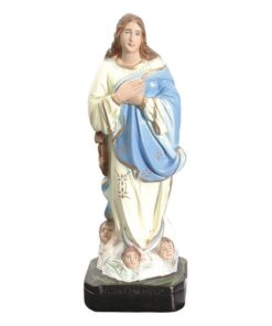 Inmaculada concepcion celeste